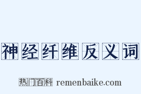 神经纤维反义词是什么意思的图片